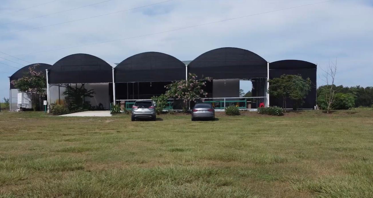 Fresh produce at the Groveland Organics on-site farm store